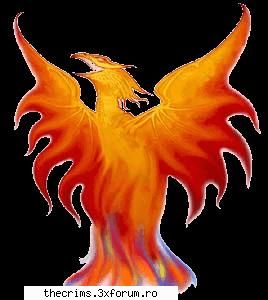 phoenix unul din cele mai bune ganguri romanesti ...&nbsp; bafta toti .... vedem runda