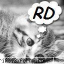 avatar pentru membrii romanian dreamers model avatar sweet cat dreamin' the romanian dream