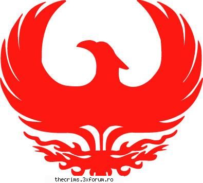 no io ma mbagat prea tarziu in phoenix si nu apar nui nk tura viitoare phoenix - unul din cele mai