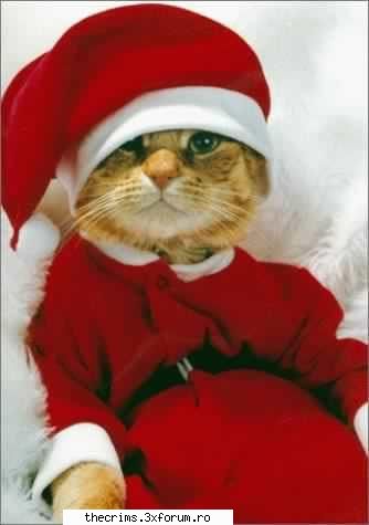 partea cea mai forumului! santa!!