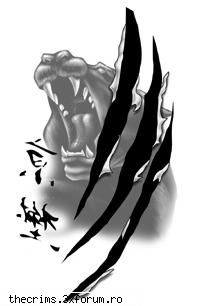 A Shadow Of Enigma - Ce fac baietii din Shadow AM auzit ca sesiunea - Gang-uri romanesti