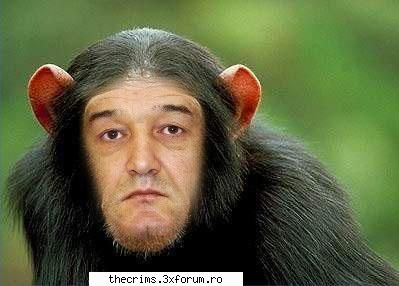 Avataruri de la voi pentru voi - prietenu nostru....nea JIJI......respect desigur - Avatar-uri