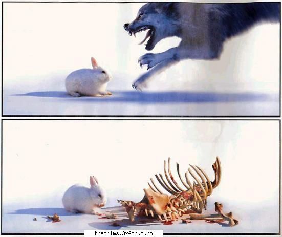 Cupa TheCrims - laurean - The Crims in Hattrick