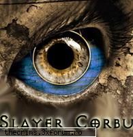 Id-uri Skype - slayercorbu - Sugestii si reclamatii