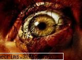 Jucatori "thecrims" & jucatori de CS - Shi eu am facut la fel! - Altceva(*nou)