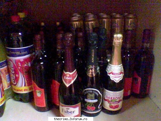Partea cea mai imprevizibila a forumului! (continuare4) - A urmat detectarea marfii de - Albumul de familie
