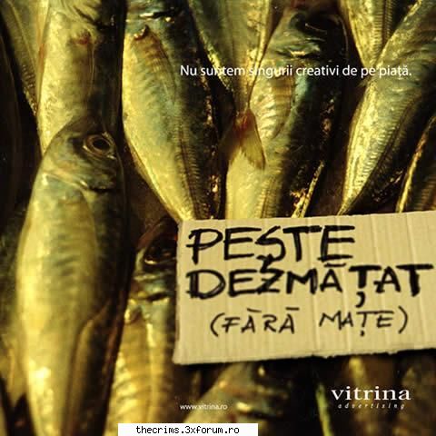 Partea cea mai imprevizibila a forumului! (continuare5) - Afroditu - Albumul de familie