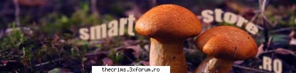 Primul site de halucinogene legale din Romania! - Buna ziua, este primul site de halucinogene - Altceva(*nou)