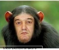 hei ce ar fi sa ne afcem totzi rom inii un gang  shi sa fie totzii rom in el chiar shi iepuri tot