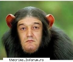 femei  abia am facut ceva naspa   :( si ma lipsesc o perioada pana imi revin vreau doar sa uit